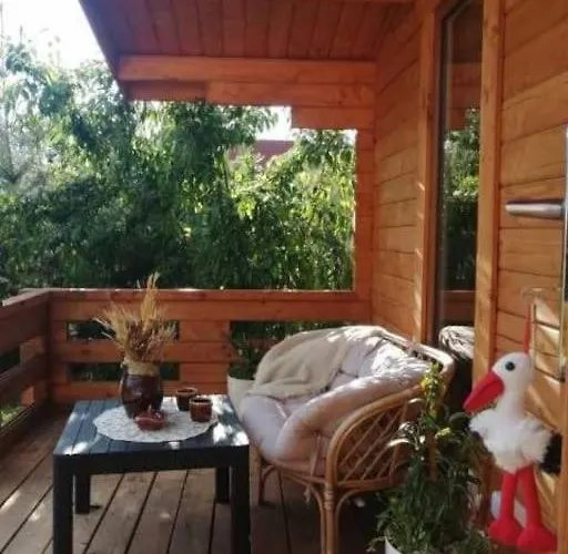 Dom wakacyjny Nowy Letniskowy